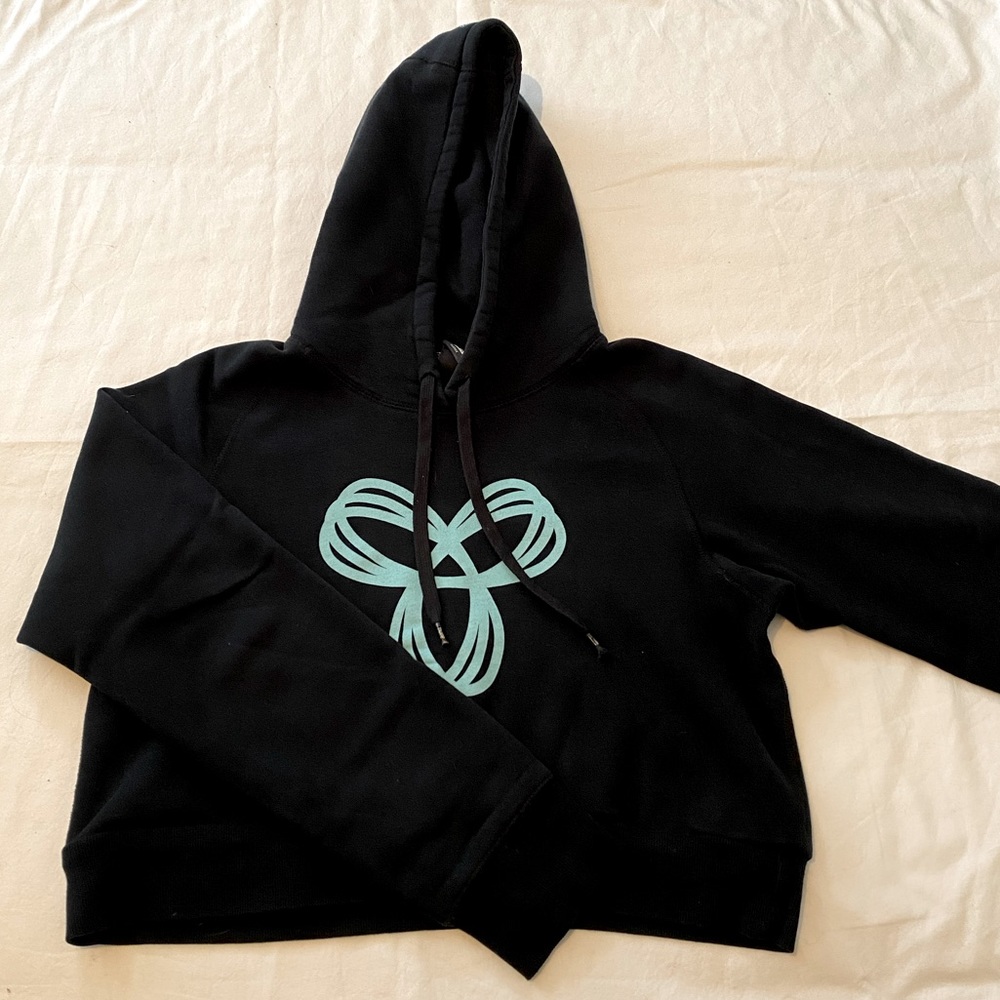 Aritzia TNA Cropped Hoodie